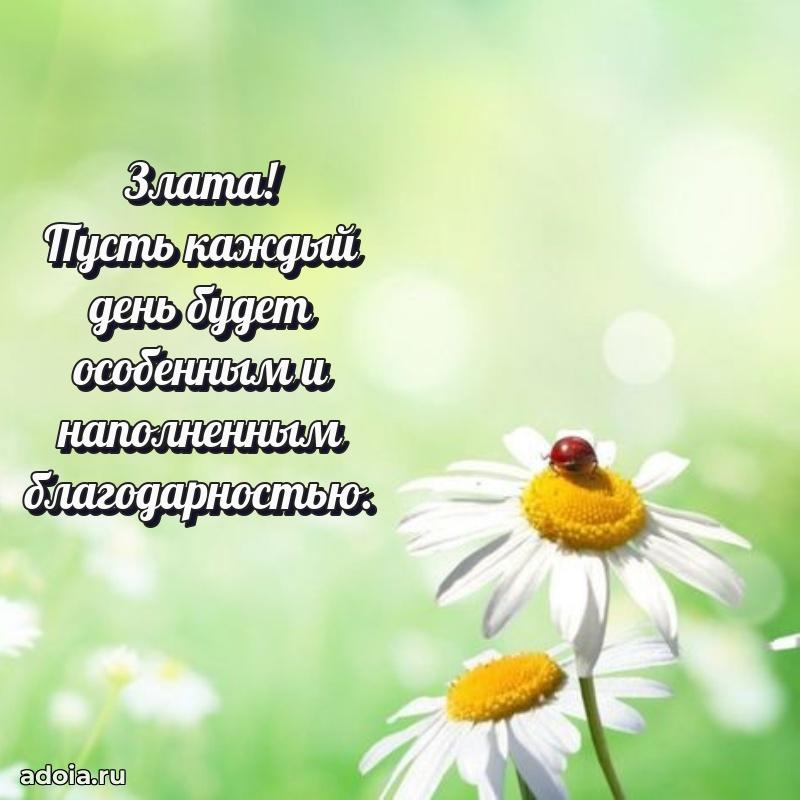 Картинка бабушке Злате