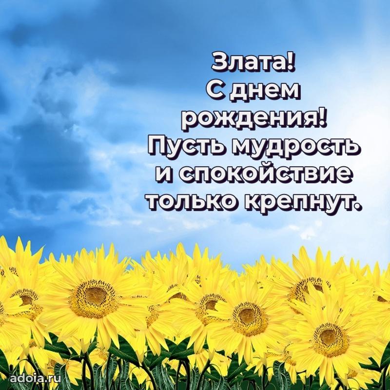 Пожелания маме Злате