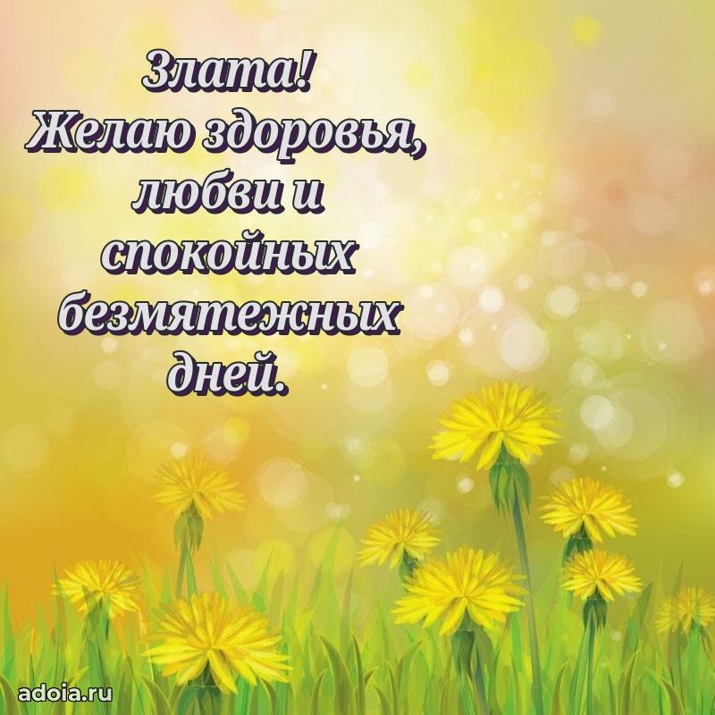 Поздравление Злате праздничные своими словами в прозе