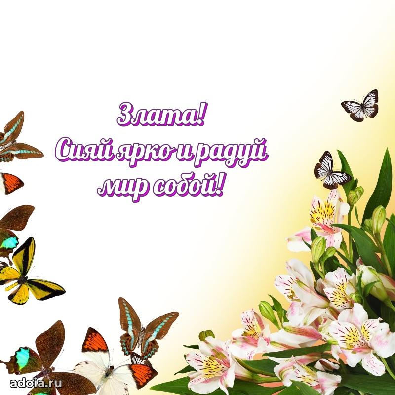 Поздравление Злате праздничные своими словами в прозе