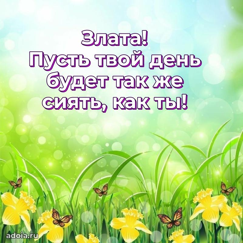 Открытка с пожеланиями Злате для ватсапа