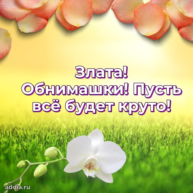 Поздравление с днем рождения сестре в стихах