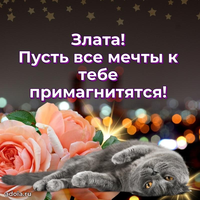 Поздравить подругу с др Злате