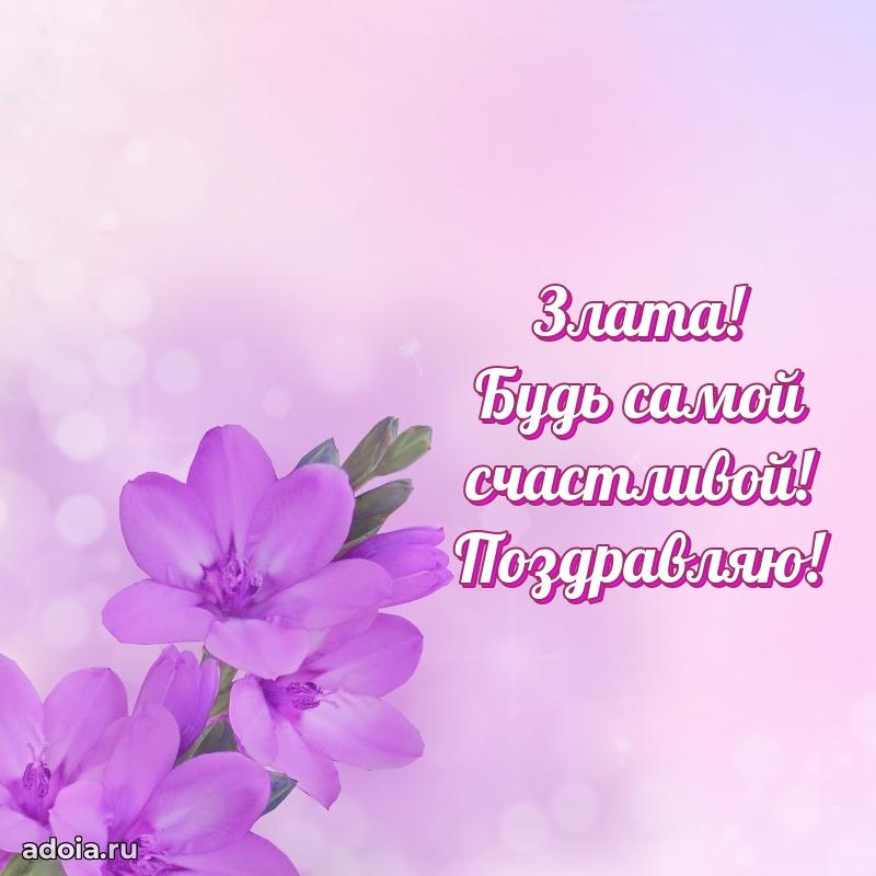 Поздравление Злате праздничные своими словами в прозе
