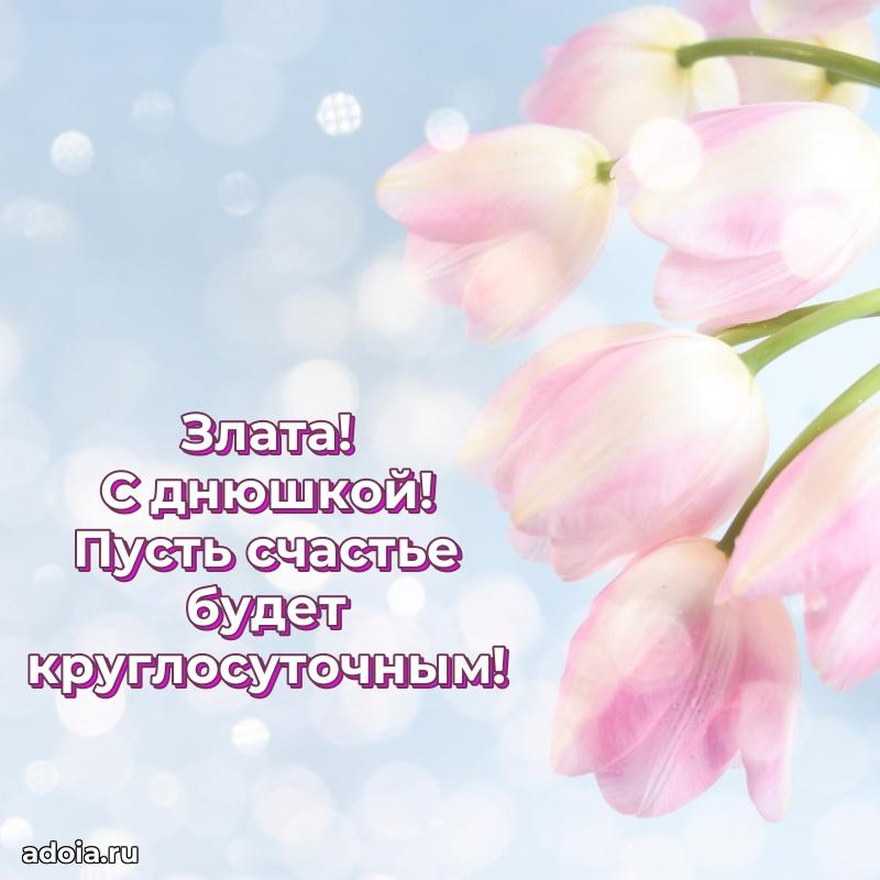 Поздравить подругу с др Злате