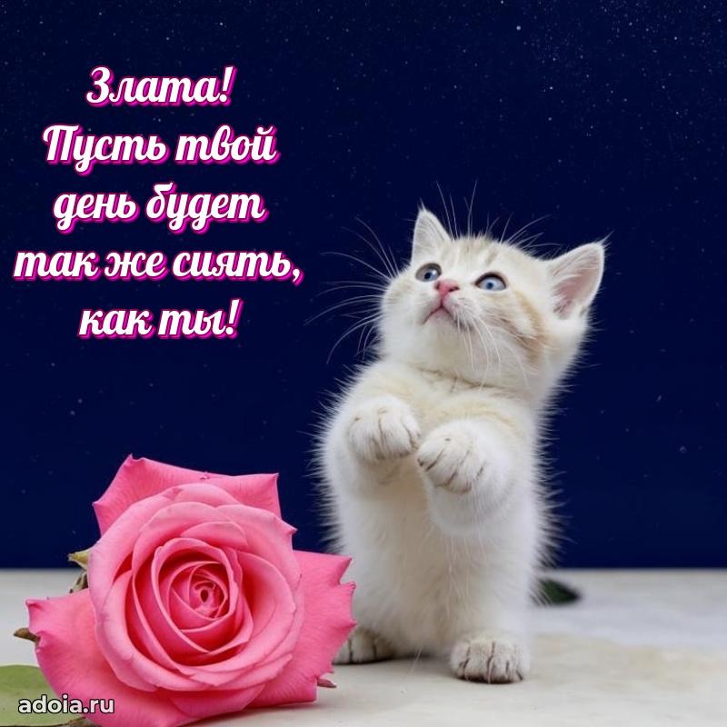 Поздравление женщине Злате