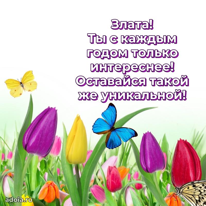 Поздравить подругу с др Злате
