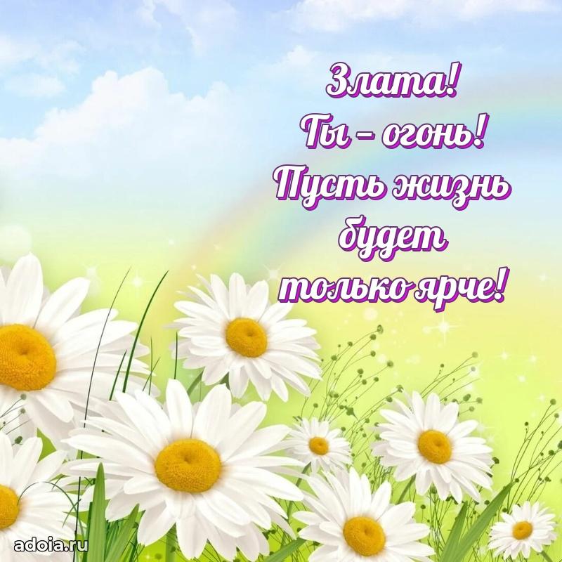 Мерцающая картинка Злате с днем рождения