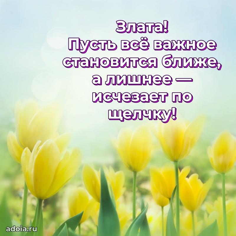 Поздравить подругу с др Злате