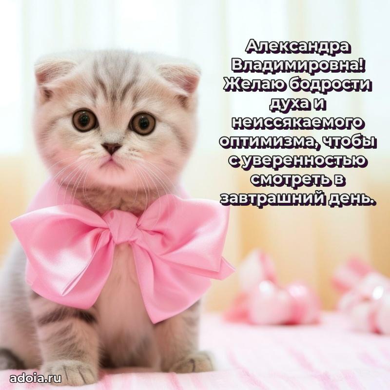 С юбилеем картинка 45 лет Александре Владимировне