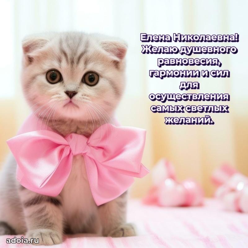 Трогательные пожелания коллеге своими словами