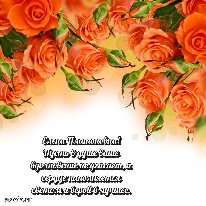 Открытка с мягкими цветами Елене Платоновне