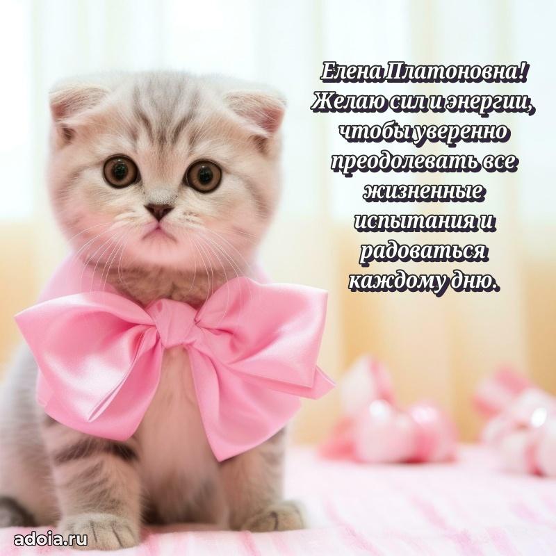 С юбилеем картинка 45 лет Елене Платоновне