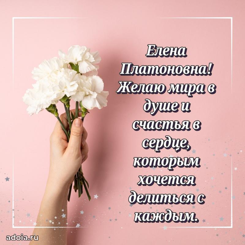 Стильное поздравление с днем рождения Елене Платоновне