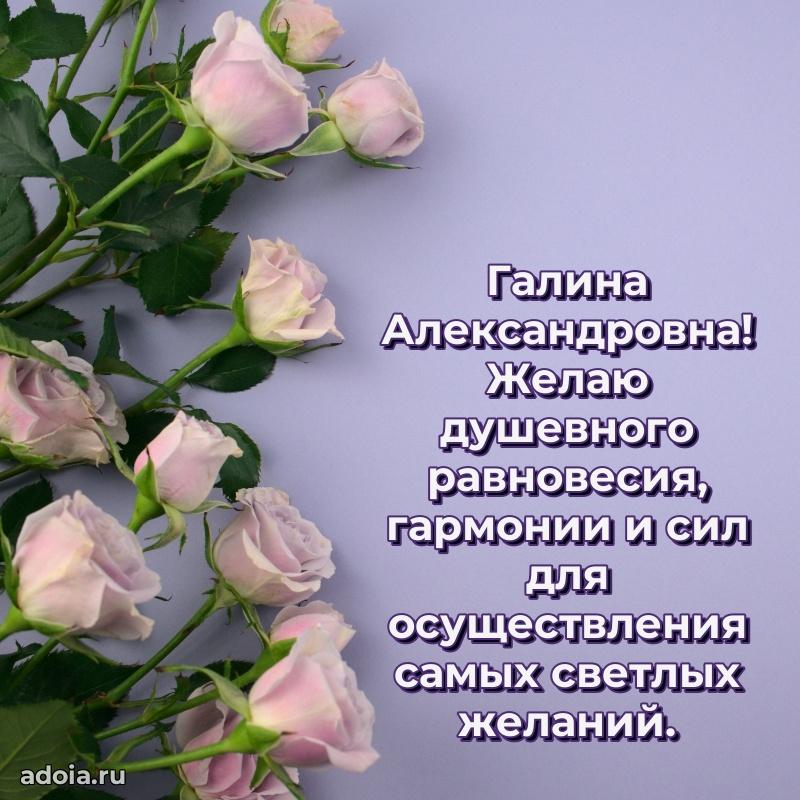 Открытка с мягкими цветами Галине Александровне