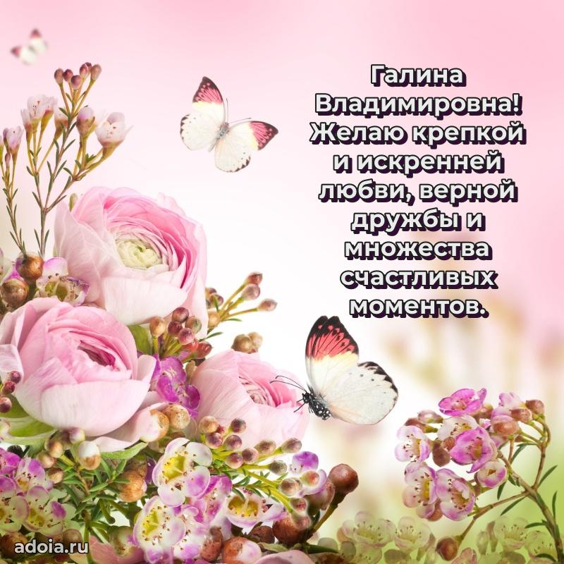 Яркая гифка с др