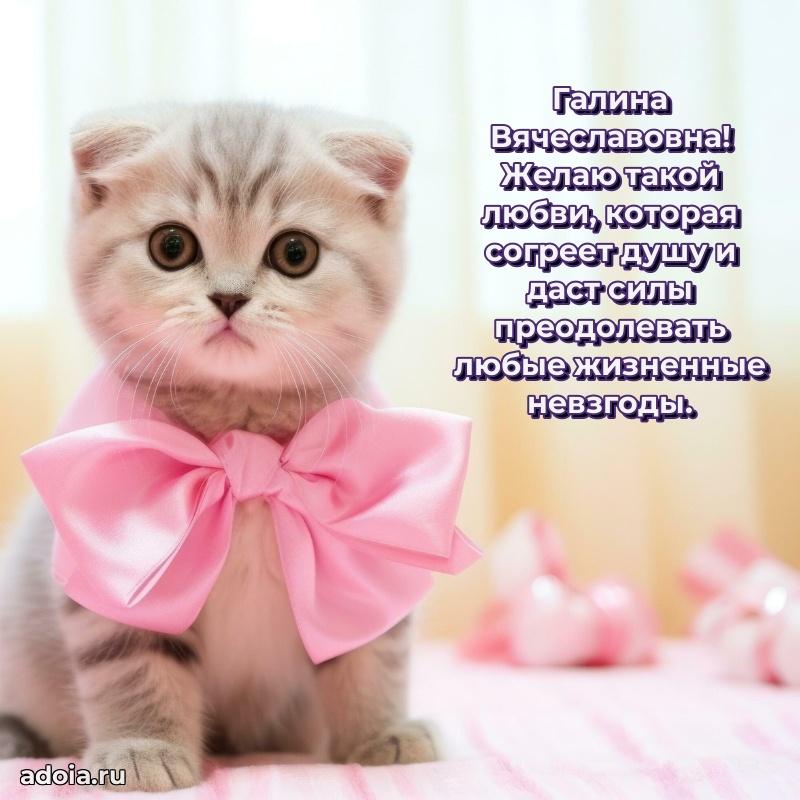 Яркая гифка с др