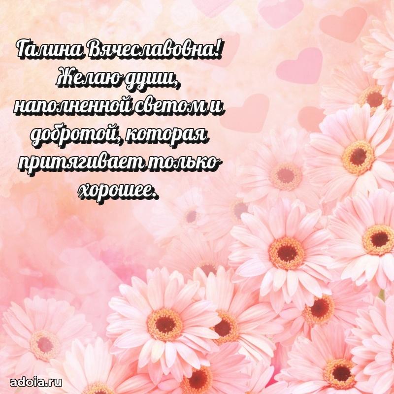 Трогательное поздравление Галине Вячеславовне в картинках
