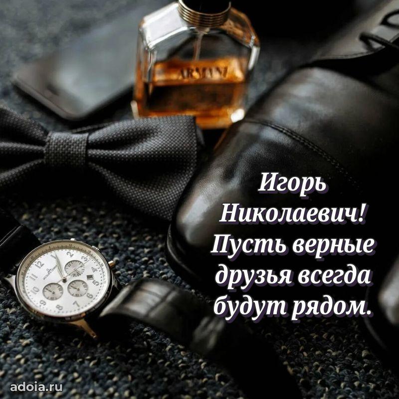 Праздничная мужская открытка в честь Игорю Николаевичу