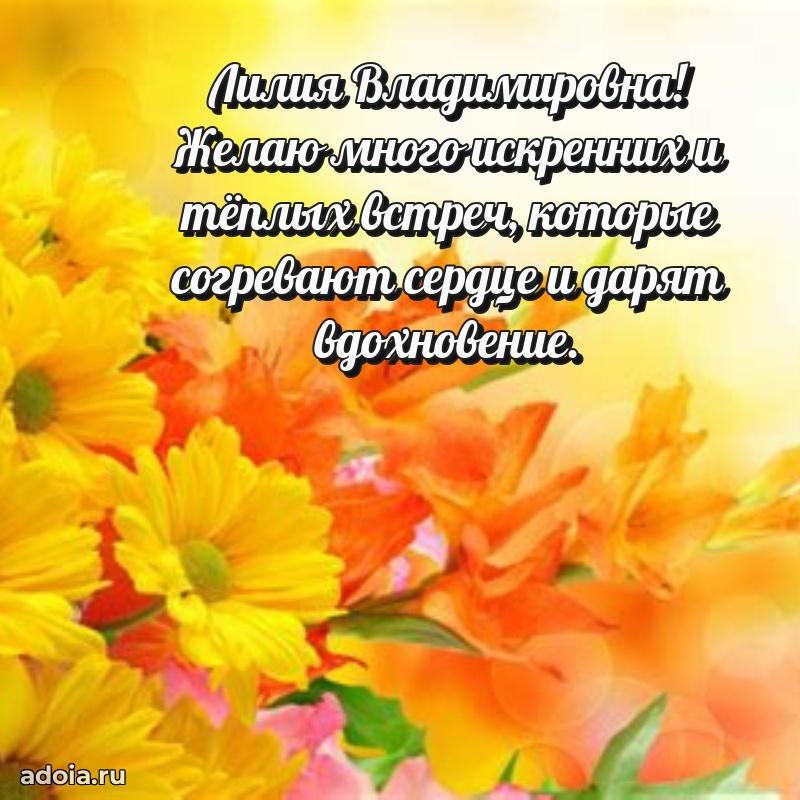 65 лет картинка с днем рождения Лилии Владимировне