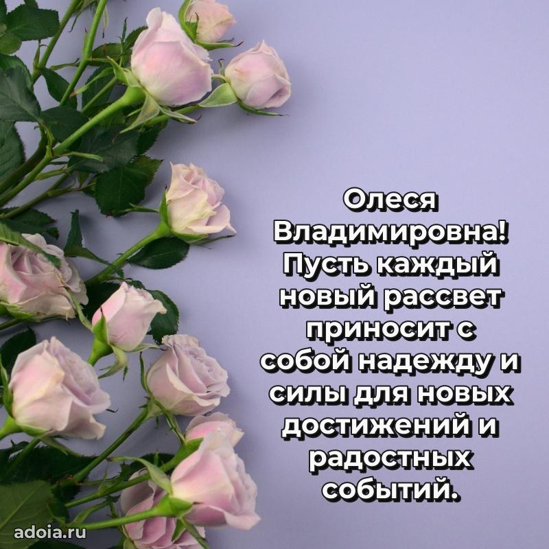 Искренняя открытка Олесе Владимировне на день рождения