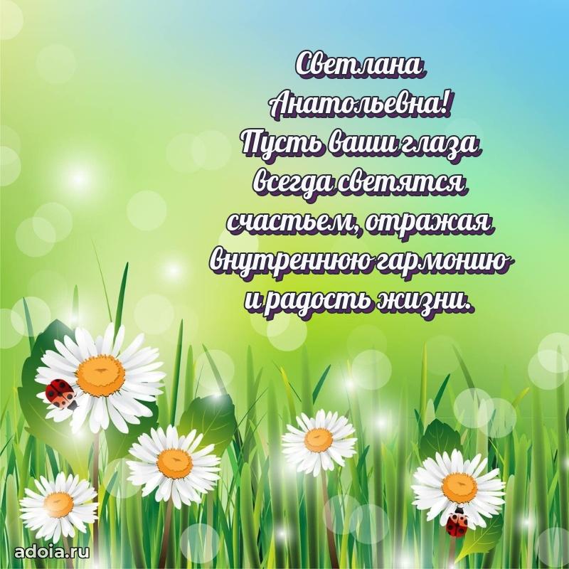 65 лет картинка с днем рождения Светлане Анатольевне