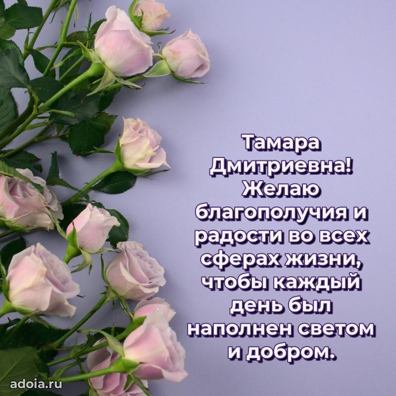 Яркая гифка с др