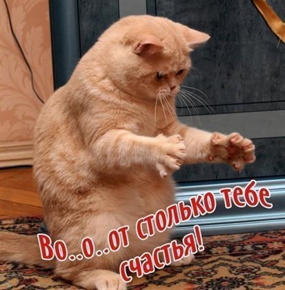 73