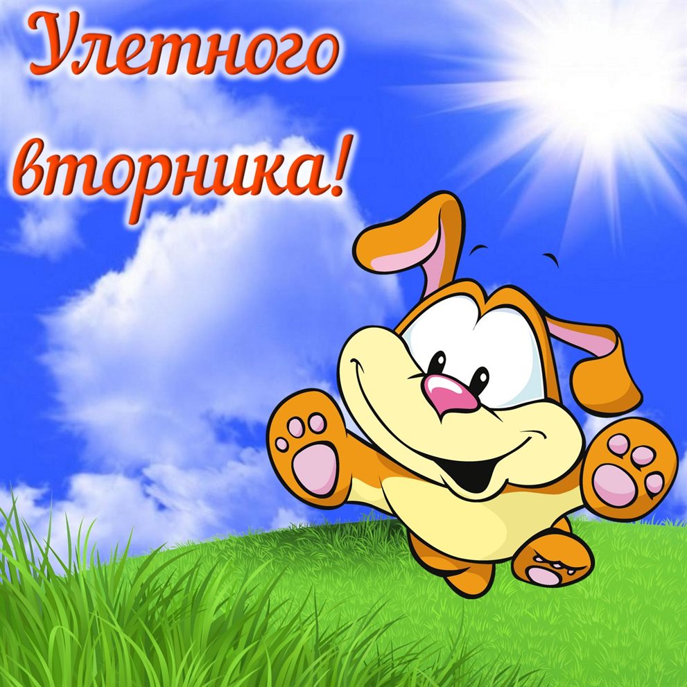 54