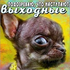 100