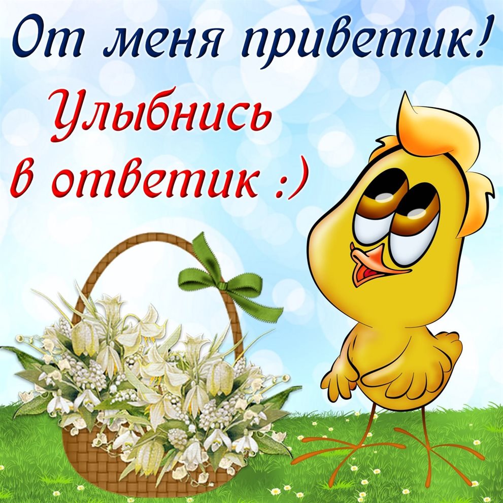 53