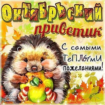 65