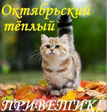 74