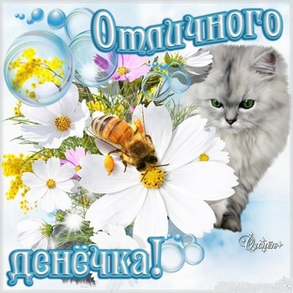 95