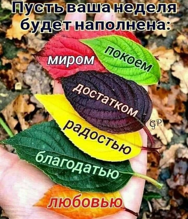 58