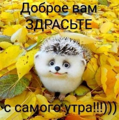 55
