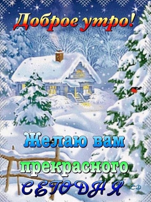 81