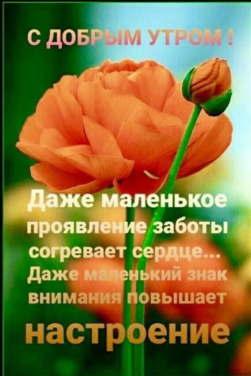68
