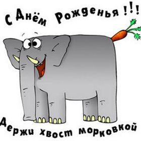 91
