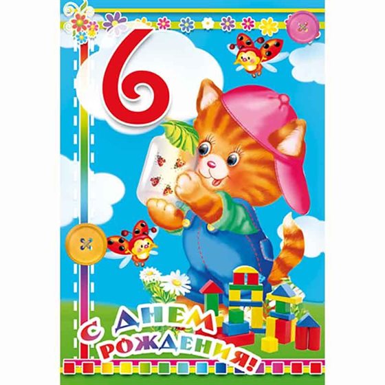 81