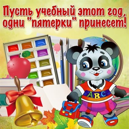 41