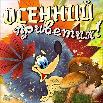 94