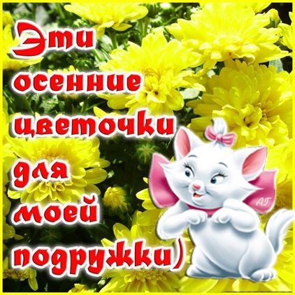 85
