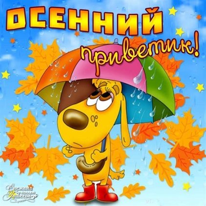 81
