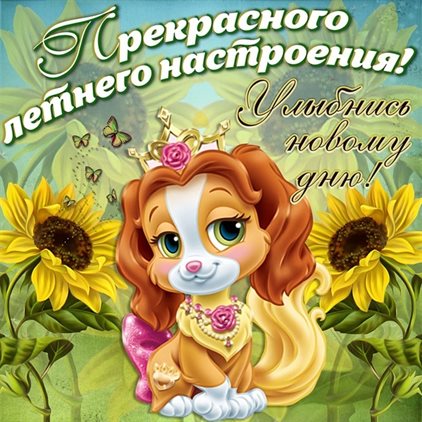 76