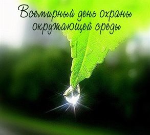 94