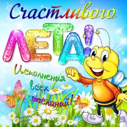81