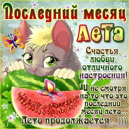 81