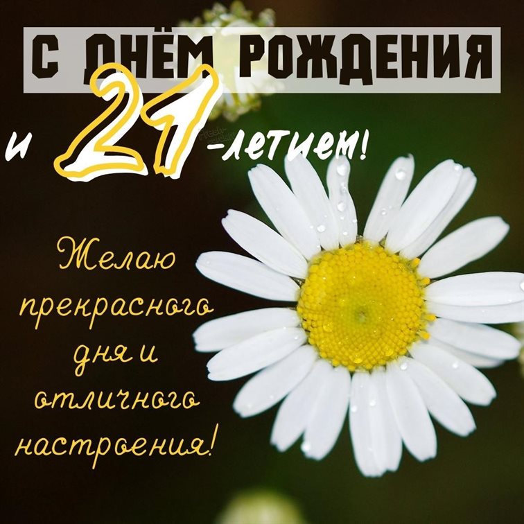 93