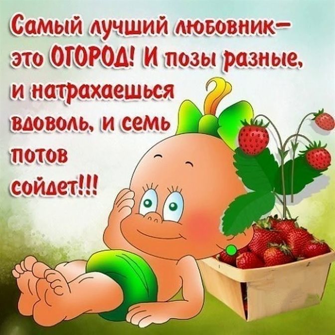 74